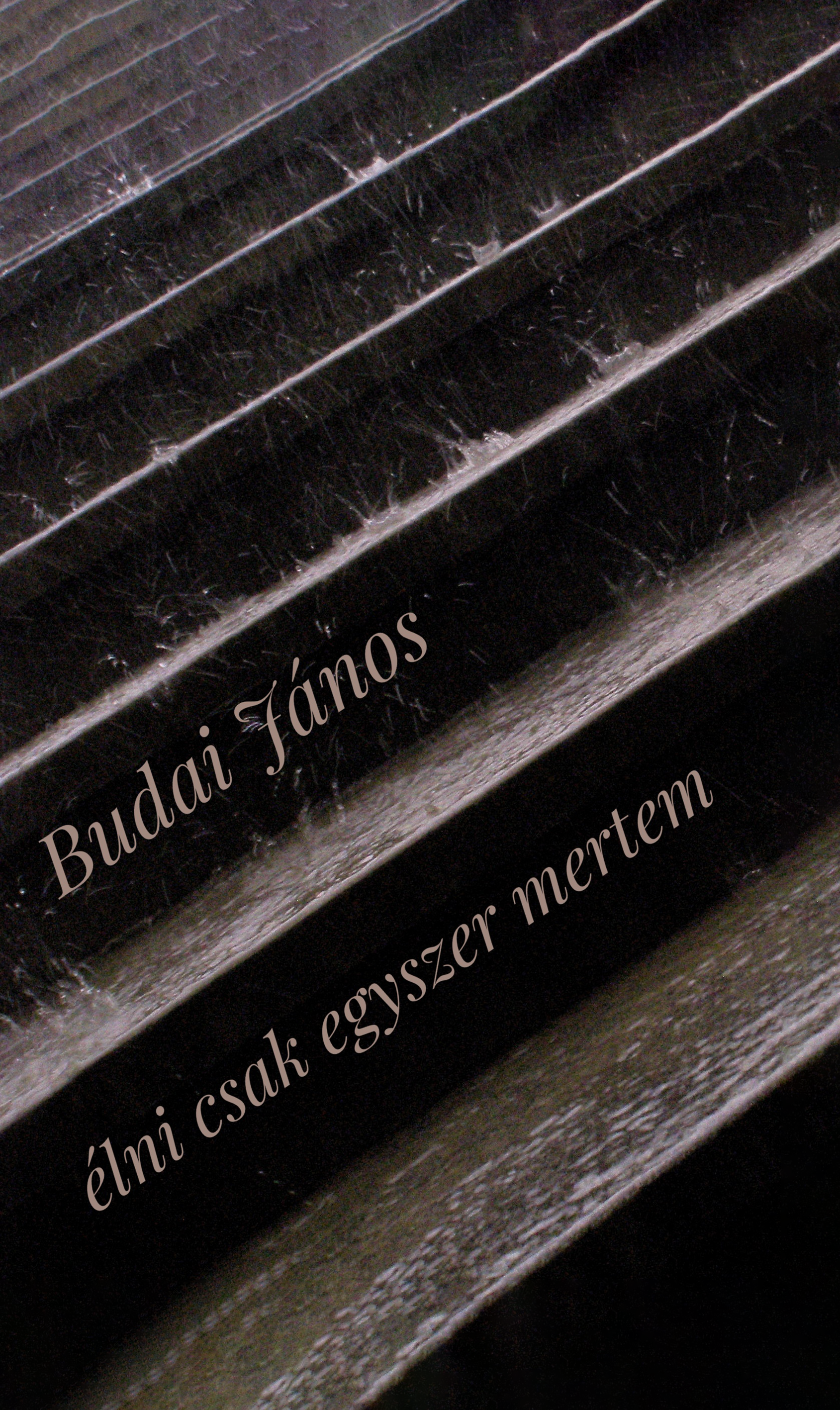 Budai János - élni csak egyszer mertem (e-könyv)